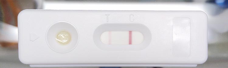 Home Test