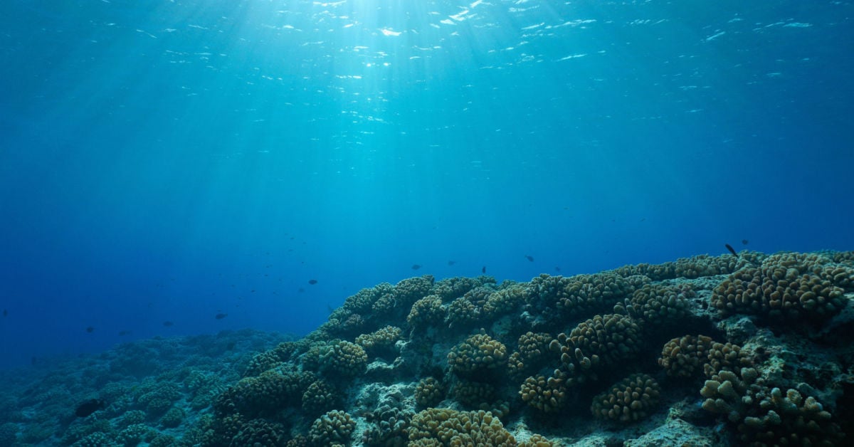 Blue economy