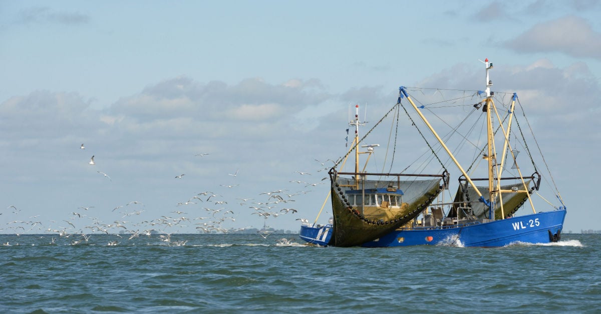 Blue economy_2