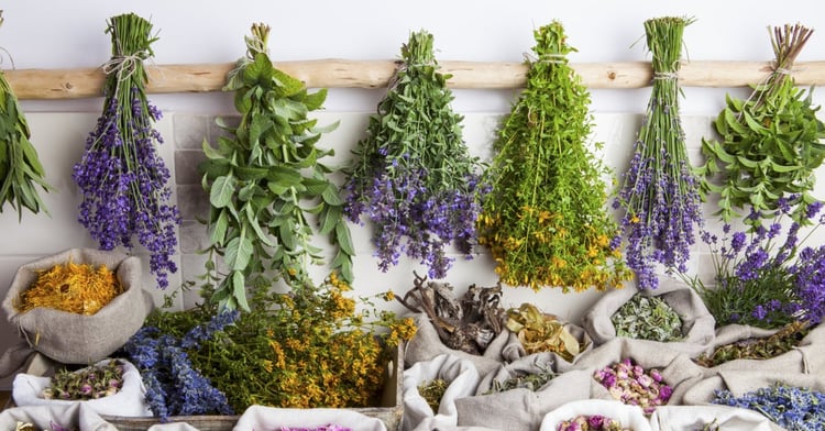 erbe officinali ticino
